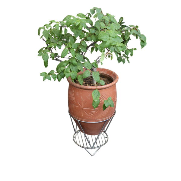 Single Pot Stand Urban Bageecha Ludhiana