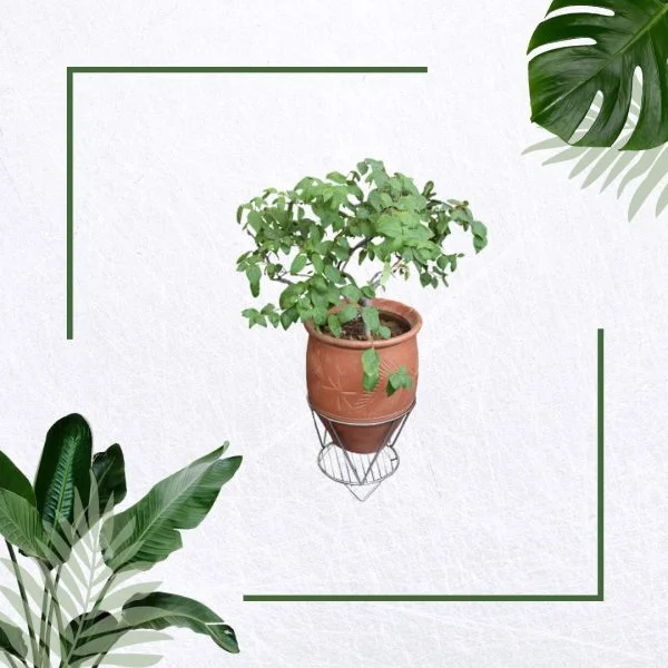 Pot Stand